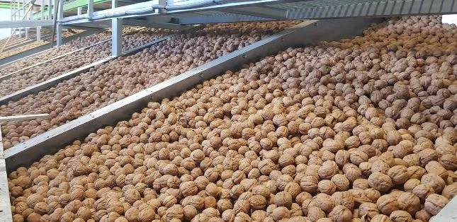 4 razones para usar granallado con cáscara de nuez