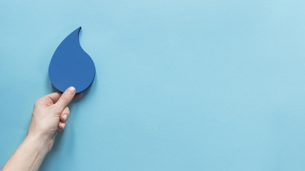 productos hechos con cascara de nuez granallas